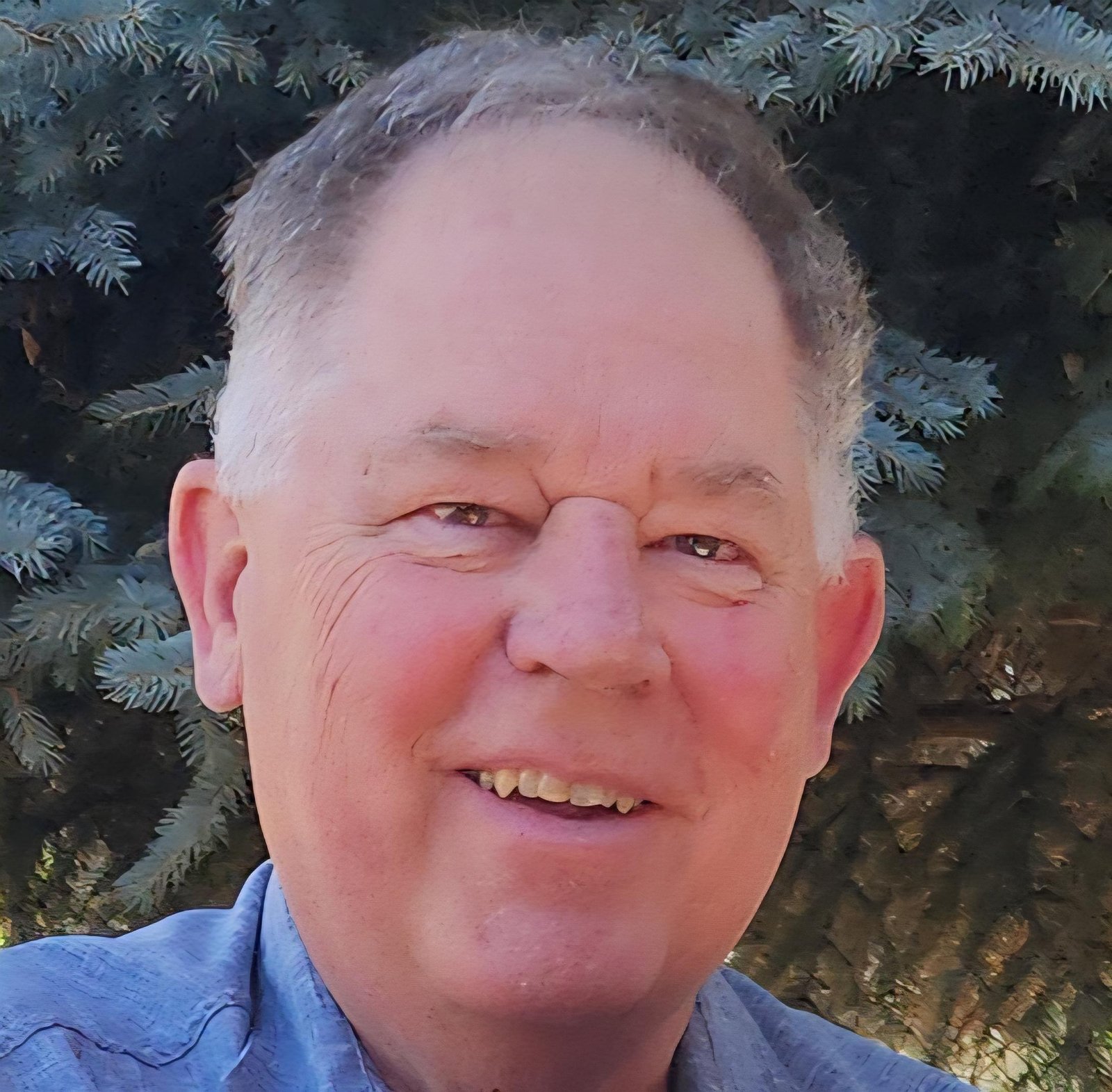 Jeff Whitehead